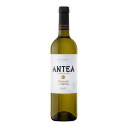 Vino blanco fermentado Antea Marqués de cáceres 750ml