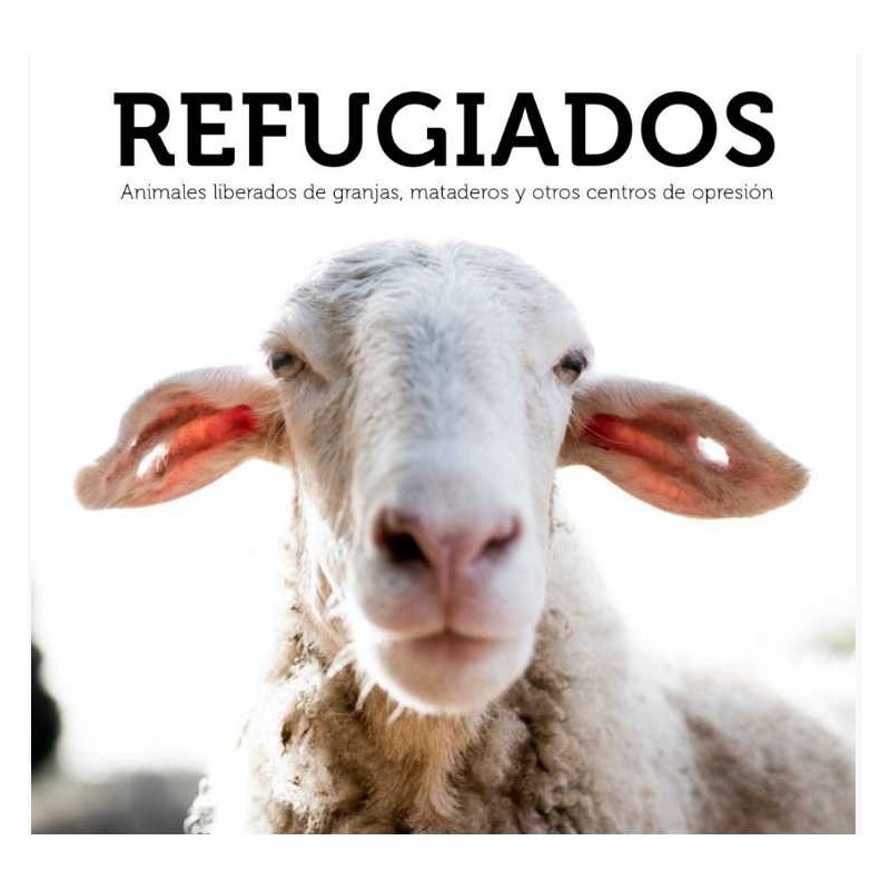 Refugiados Refugiados