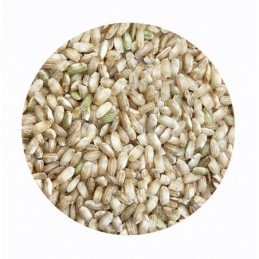 Arroz redondo integral BIO BioSpirit a granel (Paquetes)
