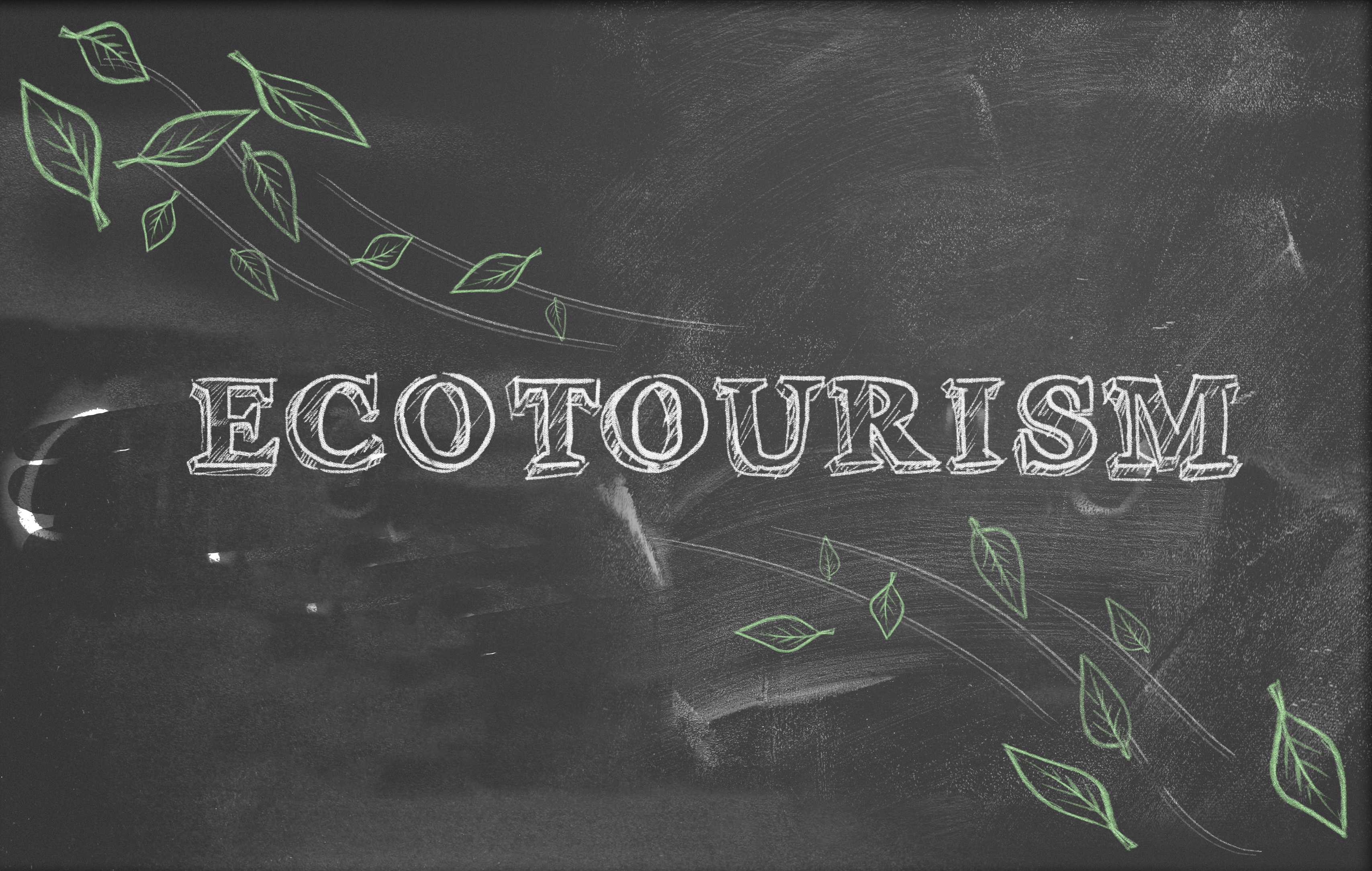 Ecoturismo